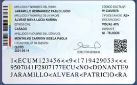 Ejemplo de celula parte posterior